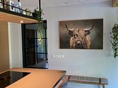 Customer photo: Scottish Highland Cow by Diana van Tankeren
