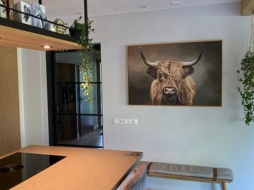 Customer photo: Scottish Highland Cow