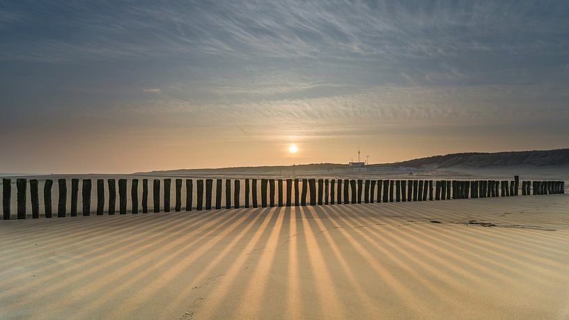 Ombres par Peter Bijsterveld