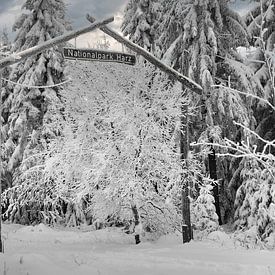Winter im Nationalpark Harz von Peter Eckert