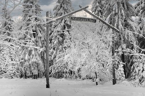 Winter in het Harz Nationaal Park