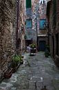 Life in Tuscany by Steven Dijkshoorn thumbnail