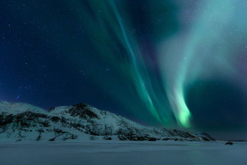 Northern Lights, Aurora Borealis over the Lofoten Islands by Sjoerd van der Wal Photography