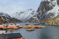 Vissershutten in het dorp Nusfjord op de Lofoten in Noorwegen van Sjoerd van der Wal Fotografie thumbnail
