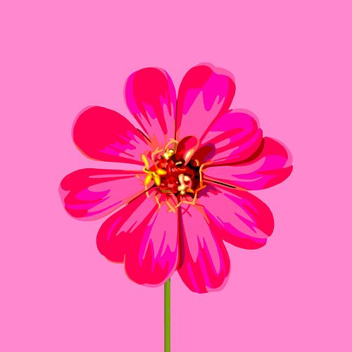 « Zinnia - Fleur estivale aux couleurs rose vif » de Jole Art sur Jole Art