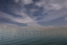 Fischnetzstangen im Wasser in romantischem Licht.