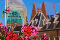 Wanneer architectuur en natuur samenkomen