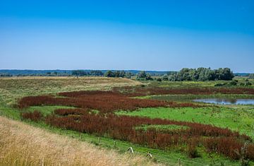 Millingerwaard en couleurs sur Werner Lerooy