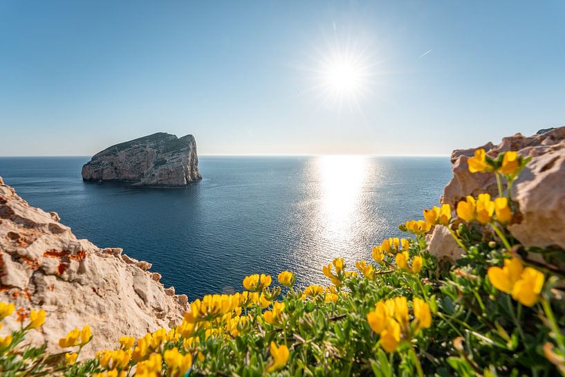 Sonnenstrahlen an den Klippen Sardiniens am Parco Naturale Di Porto Conte von Leo Schindzielorz