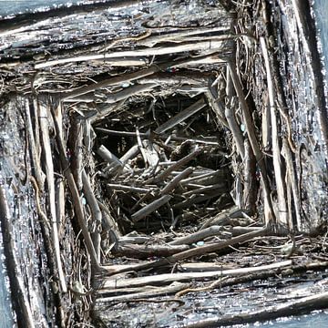 structure in driftwood (004w) van Jeroen van der Meij
