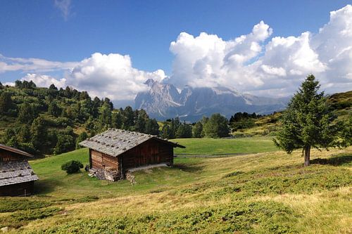 Mountain huts on the Seiser Alm with views of the Langkofel