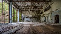The Gym by Frans Nijland thumbnail