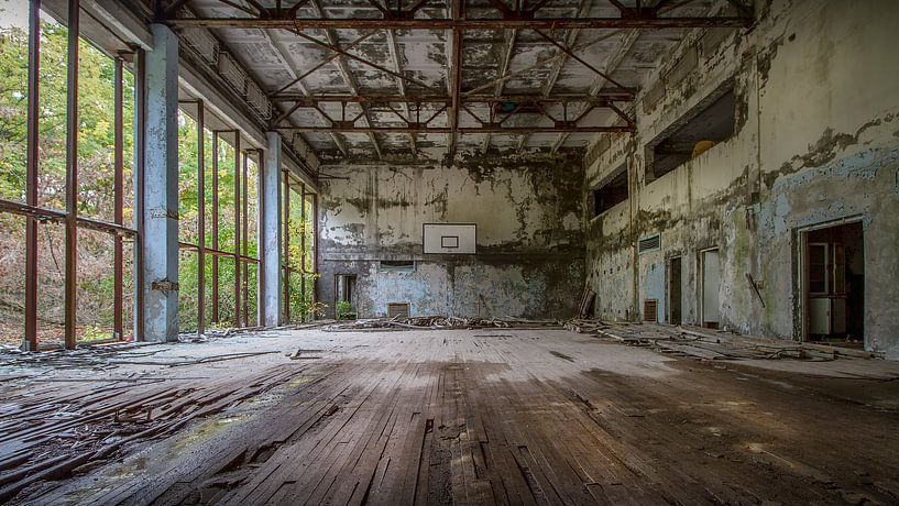 The Gym by Frans Nijland