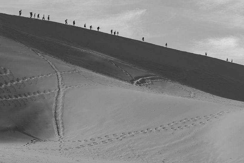 De weg naar niemandsland van Jeroen Zelle