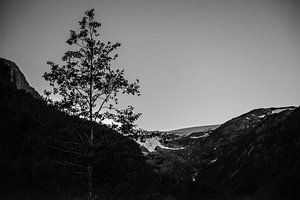 Gletscher in Norwegen von Ellis Peeters