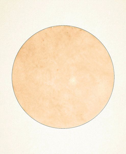 Mond in Sanftem Licht in Naturfarben von Mad Dog Art