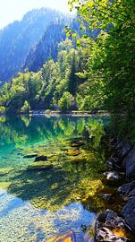 More in Austria by Angela Seubring