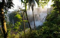 Iguazu Waterfalls Argentina