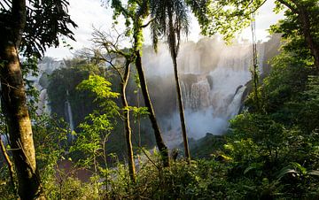 Iguazu watervallen van Catherine Blancquaert