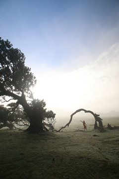 Ochtenden op Madeira