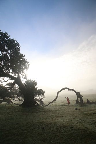 Mornings in Madeira