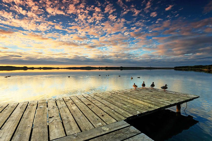 Steg mit Enten im Sonnenuntergang von Frank Herrmann