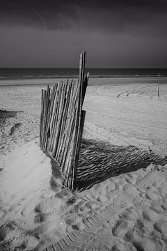 Zandwering op het strand van Yvonne Smits