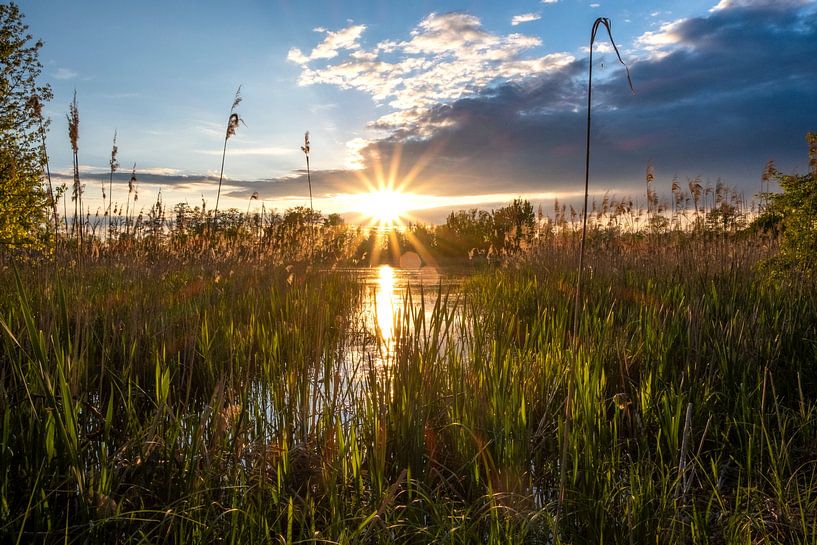 Abendsonne über einem Teich von Holger W. Spieker