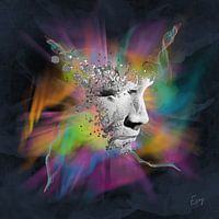 "Fragments of Self Reflection"