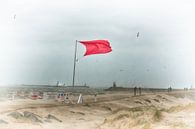 Rode vlag van Erik Reijnders thumbnail