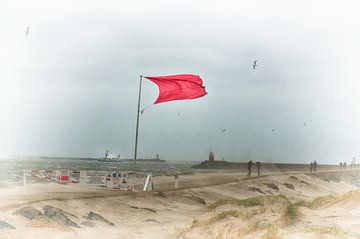 Rode vlag van Erik Reijnders