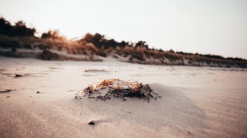 Strand von Juliusruh (Rügen)