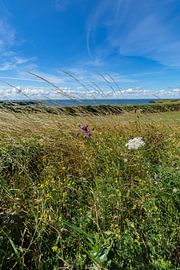 Groß Zicker, Blick zum Klein Zicker, den Zicker See und die Ostsee, Rügen von GH Foto & Artdesign
