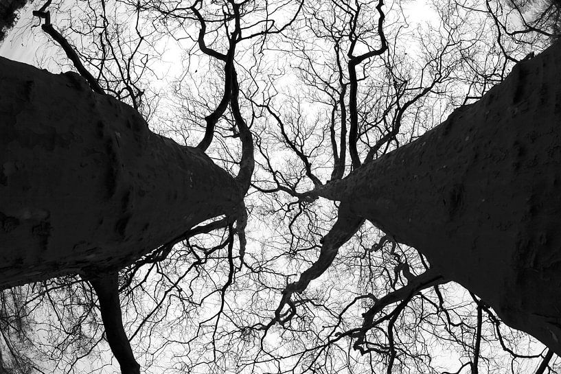 Heure d'hiver par Thomas Jäger