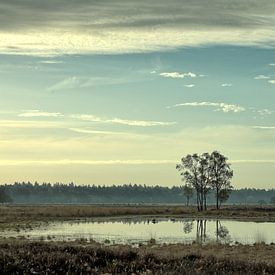 Ein Morgen am Keelven von JacArt Prints