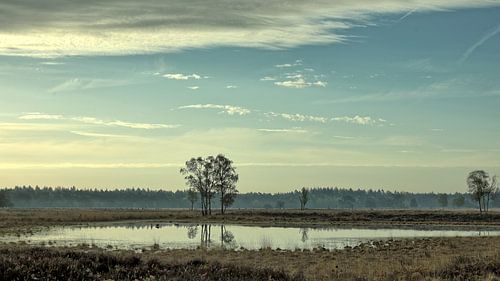Ein Morgen am Keelven