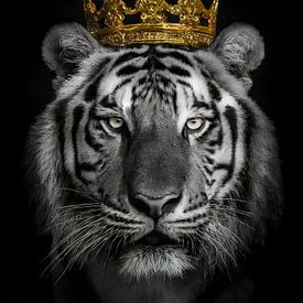 Koninklijke tijger in zwart-wit met een gouden kroon van John van den Heuvel
