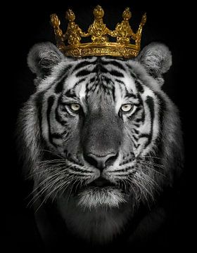 Royal tiger in black and white with a golden crown by John van den Heuvel