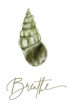 Breathe - Grüne Aquarellmuschel | Beruhigende minimalistische Wanddekoration