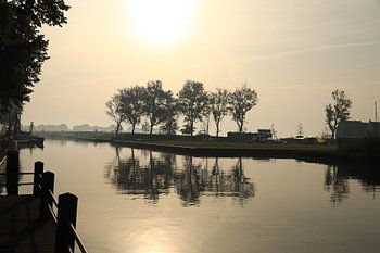 Sunset Balk zonsopkomst tussen de bomen.