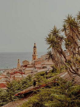 Sonne, Meer und Palmen | Reisefotografie Kunstdruck in den Straßen von Menton | Cote d'Azur, Südfrankreich