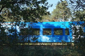 Snel langsrijdende trein in bos van Folkert Jan Wijnstra