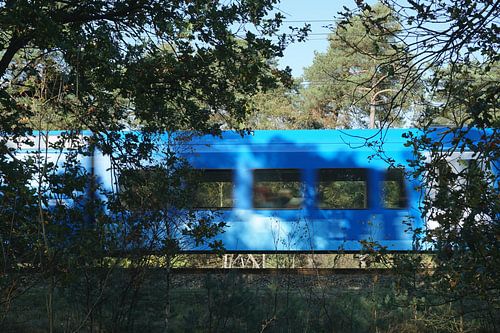 Snel langsrijdende trein in bos