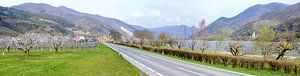 La Wachau au printemps