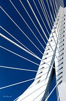 Lignes