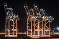 Container Terminal Zeebrugge