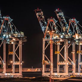 Container Terminal Zeebrugge van Frans Janssen