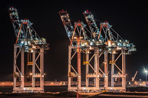 Container Terminal Zeebrugge