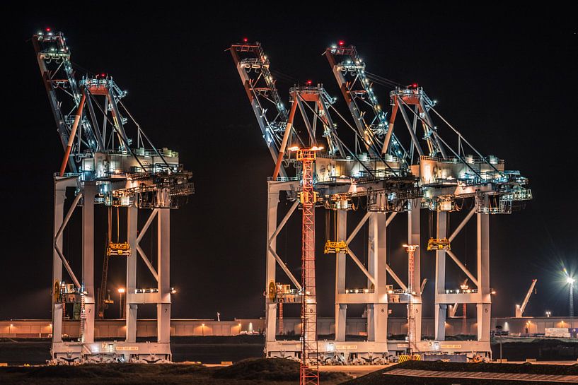 Containerterminal Zeebrugge von Frans Janssen