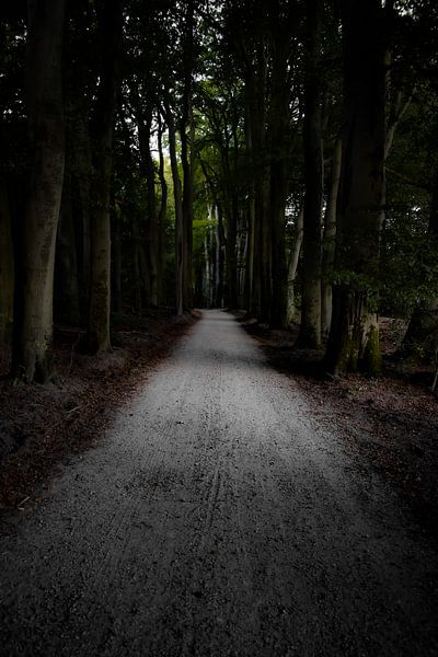 Wald. von PEEQ.